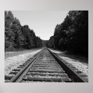 Carolina Tracks Poster