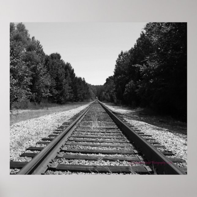 Carolina Tracks Poster (Vorne)