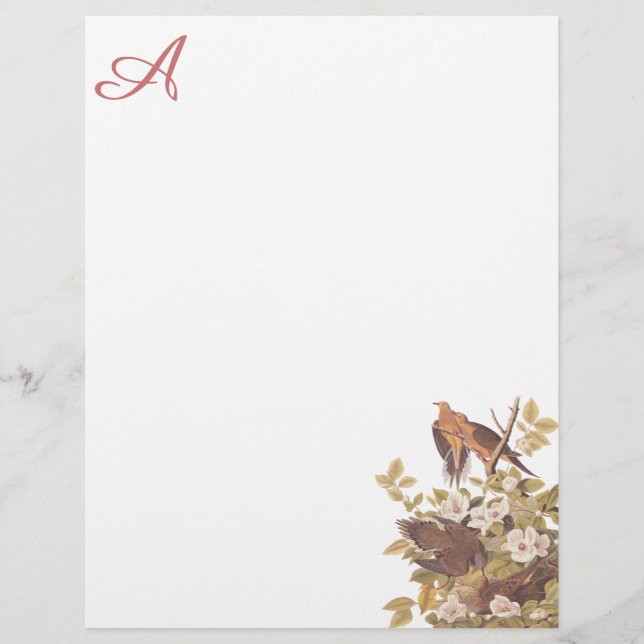 Carolina Turtle Dove Custom Letterhead (Vorderseite)