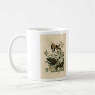 Carolina Turtle Dove Mourning Dove Audubon Vögel Kaffeetasse