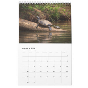 Carolina Wildlife-Kalender 2025 Kalender