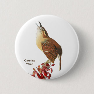 Carolina Wren, Audubon, Backyard Birdwatcher Bird Button