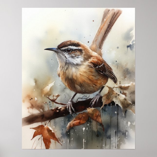 Carolina Wren Bird Art Print Poster (Vorne)