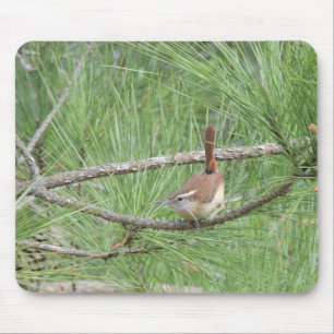 Carolina Wren in Pine Tree Mousepad