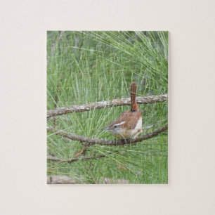 Carolina Wren in Pine Tree Puzzle