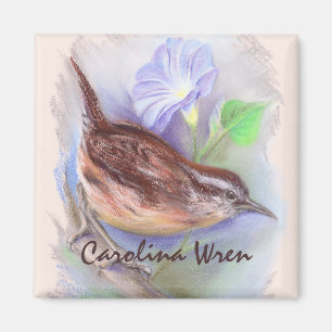 Carolina Wren mit den Blume der Morning Glory Magnet