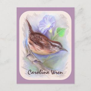 Carolina Wren mit den Blume der Morning Glory Postkarte