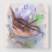 Carolina Wren mit den Blume der Morning Glory
