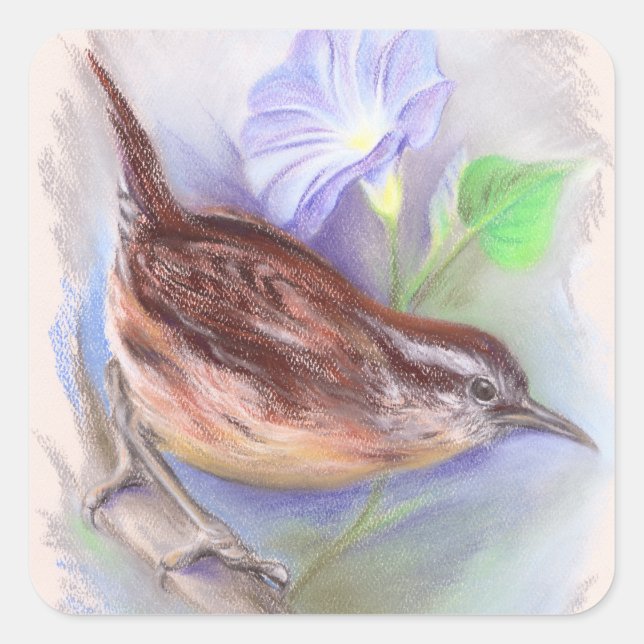 Carolina Wren mit den Blume der Morning Glory Quadratischer Aufkleber (Vorderseite)