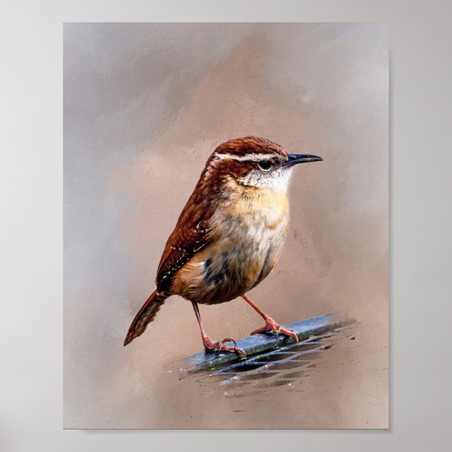Carolina Wren Poster (Vorne)