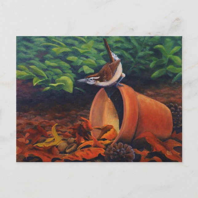 Carolina Wren Postkarte (Vorderseite)