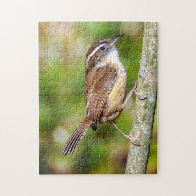 Carolina-Wren-Puzzle Puzzle (Vertikal)