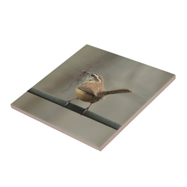 Carolina Wren Songbird Tile Fliese (Seite)