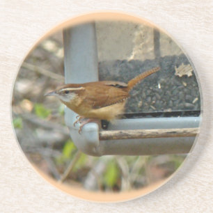 Carolina Wren Untersetzer