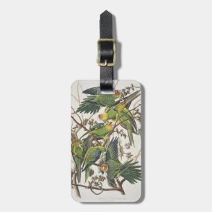 CarolinaParakeet, "von den Vögeln von Amerika", Gepäckanhänger