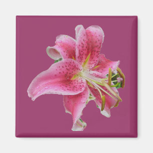 Carolyns Lily Magnet