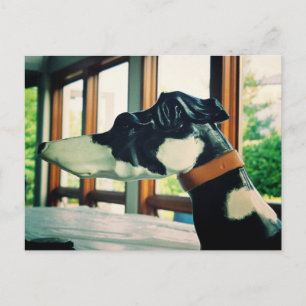 Carousel Dog Postkarte