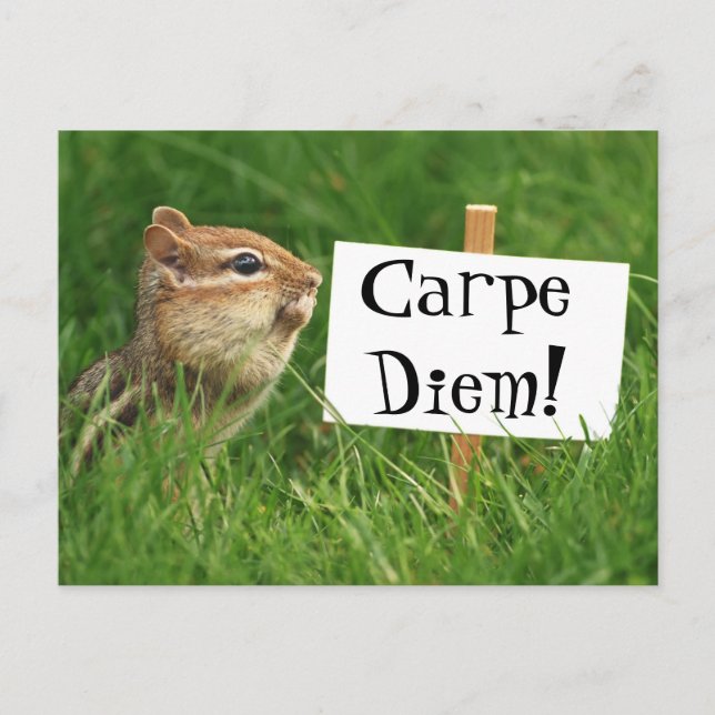 Carpe Diem! Chipmunk mit Zeichen Postkarte (Vorderseite)