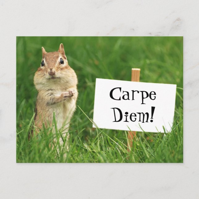 Carpe Diem Chipmunk mit Zeichen-Postkarte Postkarte (Vorderseite)