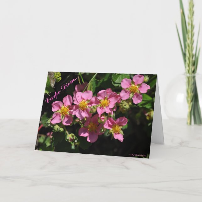 Carpe Diem… Karte (Vorderseite)