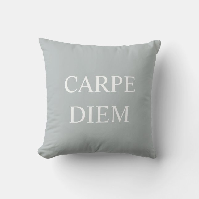 Carpe Diem Latin Quote Cushion - Grau Kissen (Vorderseite)