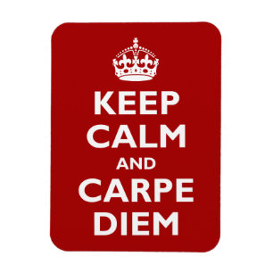 Carpe Diem! Magnet
