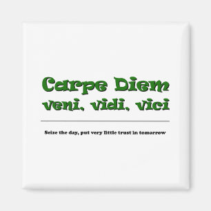 Carpe Diem Magnet