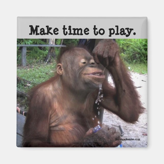 Carpe Diem Niedlich Wildlife Magnet (Vorne)