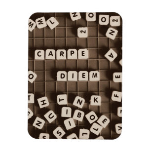 Carpe Diem Scrambled Letter Tiles Magnet