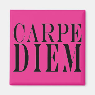Carpe Diem Seize the Day Latin Quote Glück Magnet