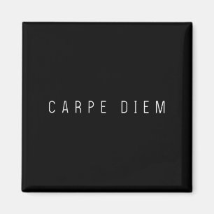 Carpe Diem Seize The Day Stoic Quote Philosophie P Magnet