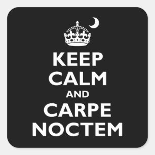 Carpe Noctem! Quadratischer Aufkleber