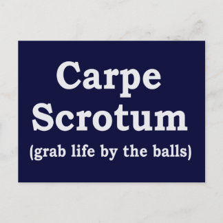 Carpe Scrotum Postkarte