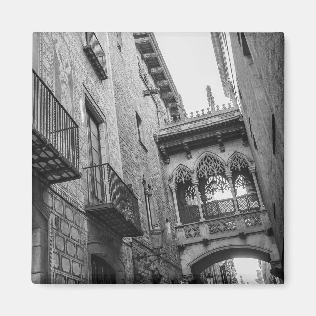 Carrer del Bisbe Magnet: Barcelona Magnet (Vorne)