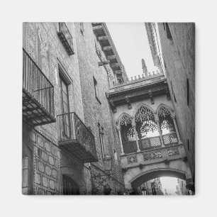 Carrer Del Bisbe Magnet: Barcelona Magnet