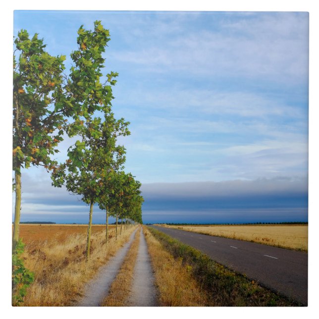 Carretera Hacia Reliegos Fliese (Vorderseite)