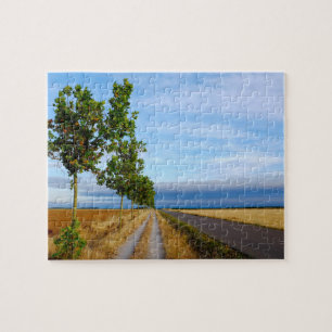 Carretera Hacia Reliegos Puzzle