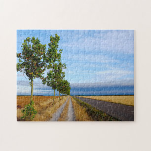 Carretera Hacia Reliegos Puzzle