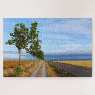 Carretera Hacia Reliegos Puzzle