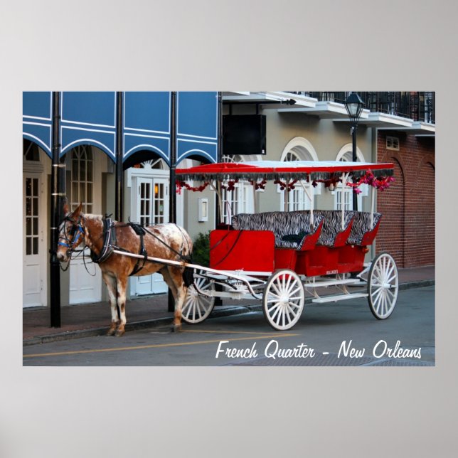 Carriage Ride New Orleans Poster (Vorne)