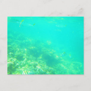 CARRIBEAN SEA POSTCARD 12 POSTKARTE