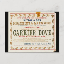 Carrier Dove Clipper Segeln Postkarte