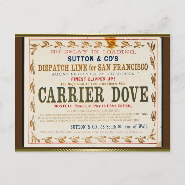 Carrier Dove Clipper Segeln Postkarte (Vorderseite)