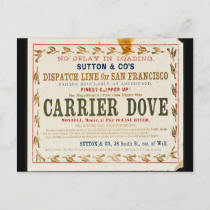 Carrier Dove Clipper Segelschiff Postkarte