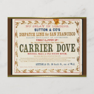 Carrier Dove Clipper Segelschiff Postkarte