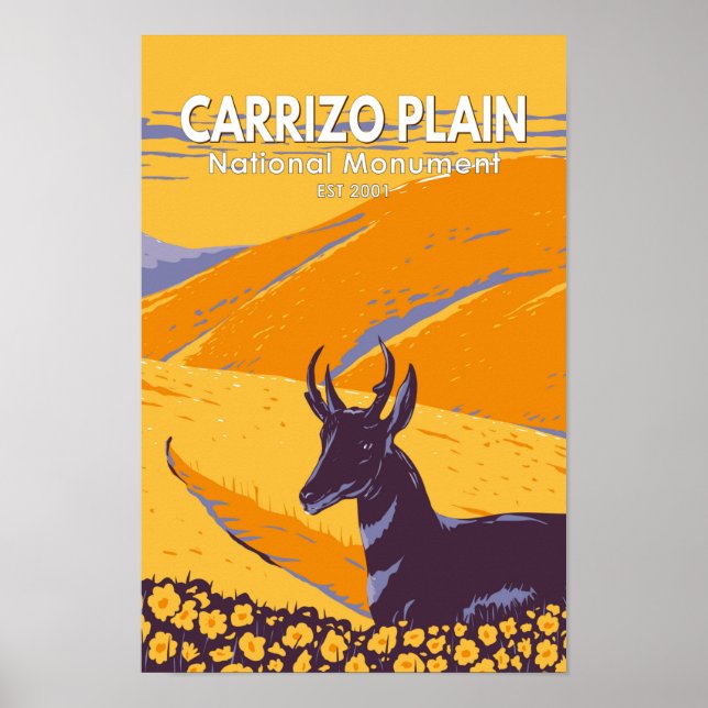 Carrizo Schlichtes Nationaldenkmal Vintages Califo Poster (Vorne)