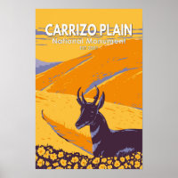 Carrizo Schlichtes Nationaldenkmal Vintages Califo