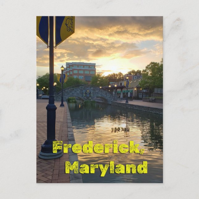 Carroll Creek Frederick Maryland #3 Postkarte (Vorderseite)