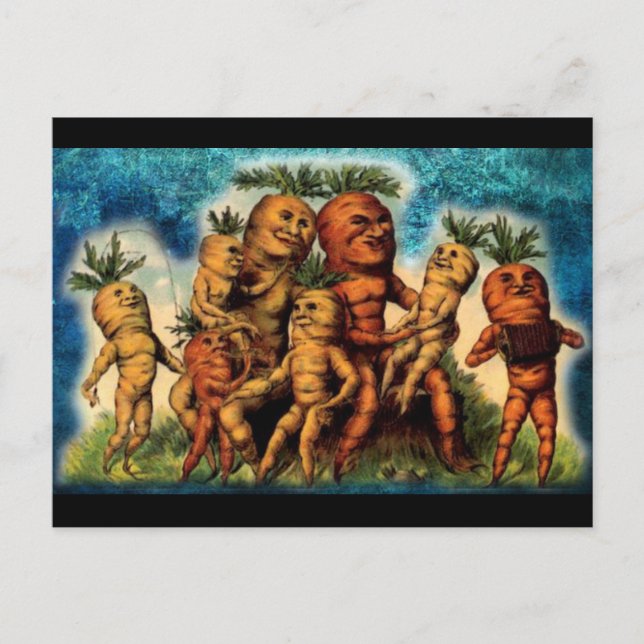 Carrot Family Weirdness Postkarte (Vorderseite)