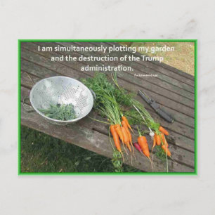 Carrot Garening & Plotting & Resistent Trump Postkarte